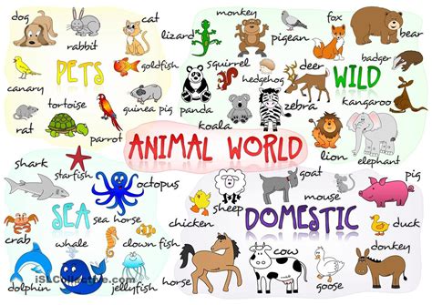 Grade 1 Animals : Domestic and Wild – Worksheets and more