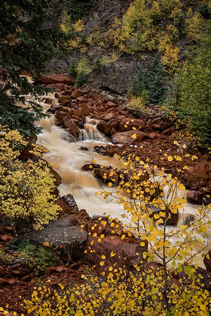 Ouray Creek Fall Ouray Co Fred Mertz Photography