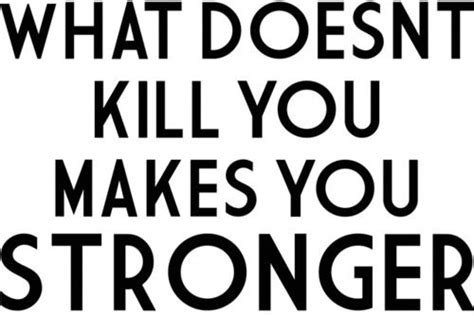 What Doesnt Kill You Makes A Fighter Great Song Lyrics
