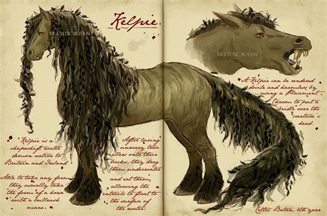 Care Of Magical Creatures Assignment Kelpie By Celticbotan Fantasy