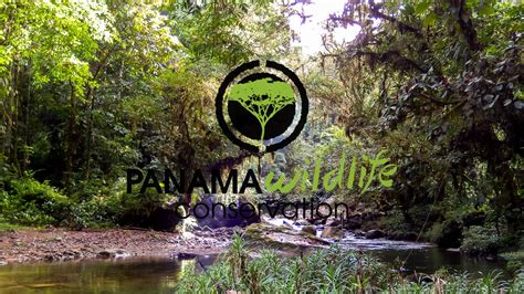 We would like to show you a description here but the site won't allow us. Parque Nacional Santa Fe PANAMA - YouTube