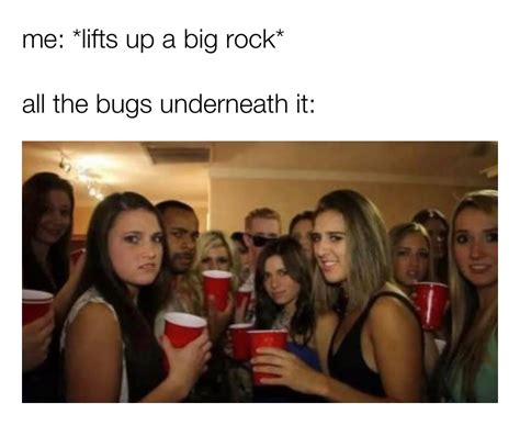 Me Lifts Up A Big Rock All The Bugs Underneath It Mmmente Memes