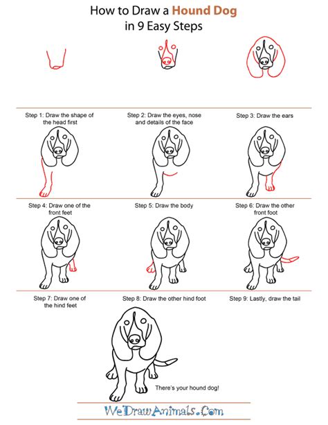 An obedient dog sits down when you tell it to. How To Draw A Realistic Dog Step By Step Easy - Cat's Blog