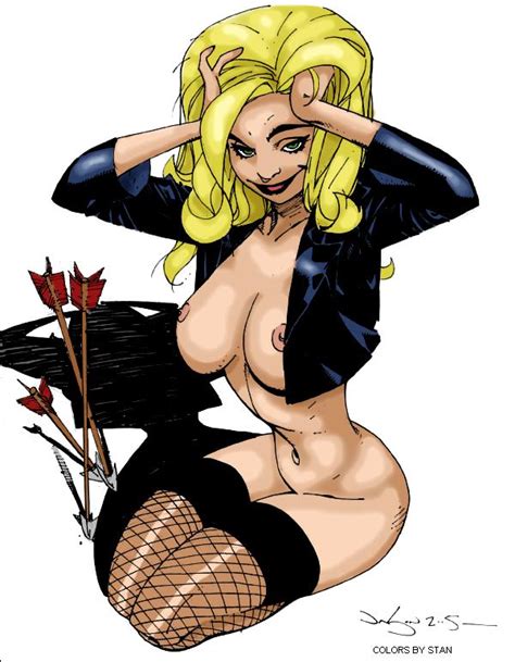 Rule 34 2005 Black Canary Dc Tagme 233779