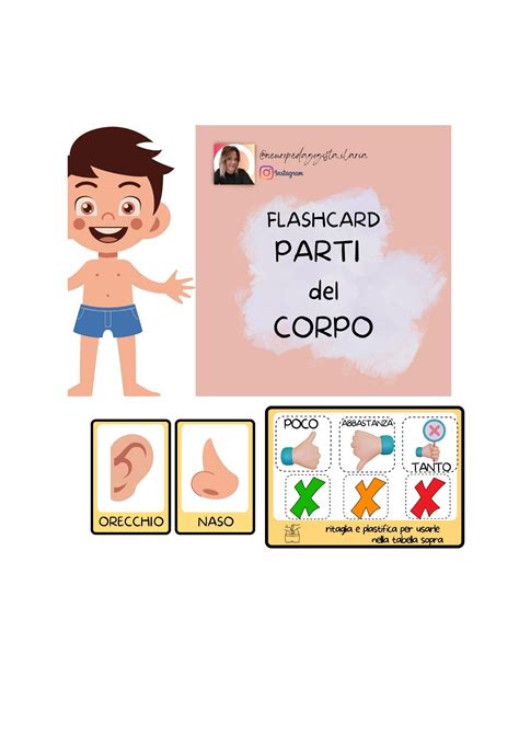 Flashcards Parti Del Corpo Scala Dolore • Edudoro