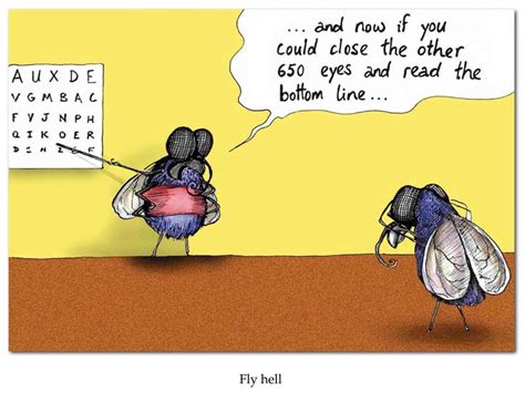 Image Result For Insect Humor Cartoons Humor Grappige Tekenfilms