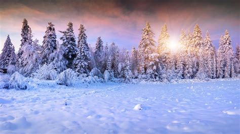 Winter Aesthetic Wallpapers 4k Hd Winter Aesthetic Backgrounds On