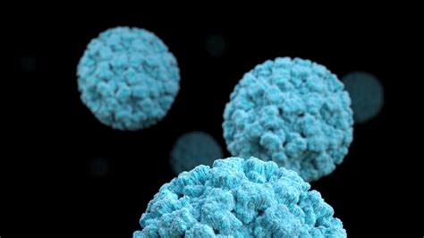 Researchers Developing Vaccine For Human Norovirus A Major Cause Of