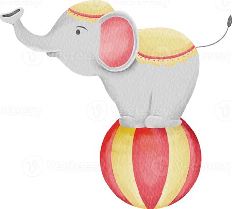 Elefante De Circo Acuarela 16540975 Png