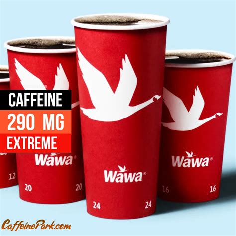 Wawa Coffee Caffeine Content How Much Caffeine Is In