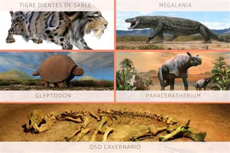 Animales Prehistóricos Características Y Ejemplos Vivos Y Extintos
