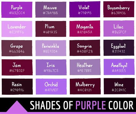 shades of purple color with the words shades of purple in different font styles and colors