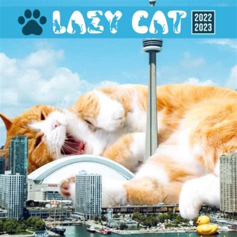Lazy Cat 2022 Calendar Cute Sleepy Cats Squared Mini Planner Jan 2022