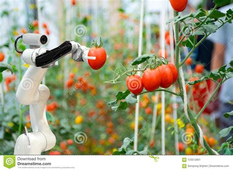 Smart Robotic Farmers In Agriculture Futuristic Robot Automation To