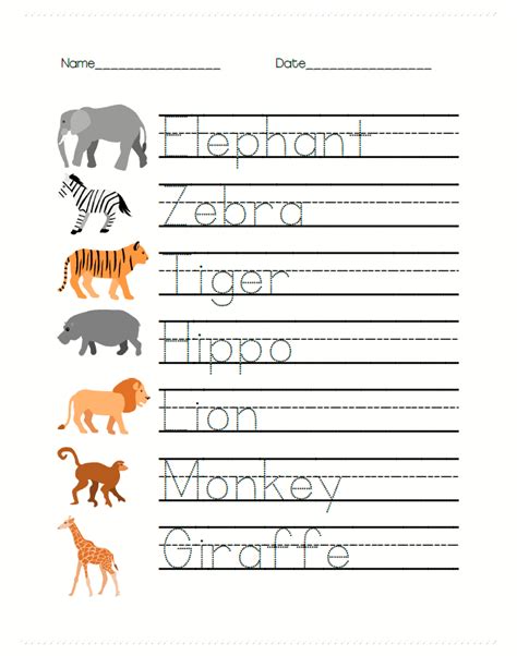Free Safari Animal Worksheets For Prek Are Great For Writing And Math