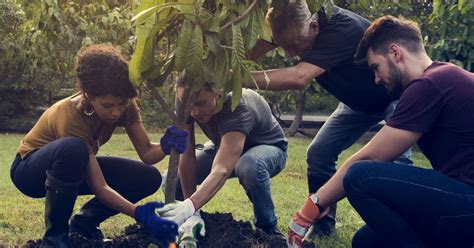 5 Stellar Environmental Volunteer Opportunities - Goodnet