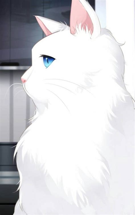White Cat Anime Wallpapers Top Free White Cat Anime Backgrounds