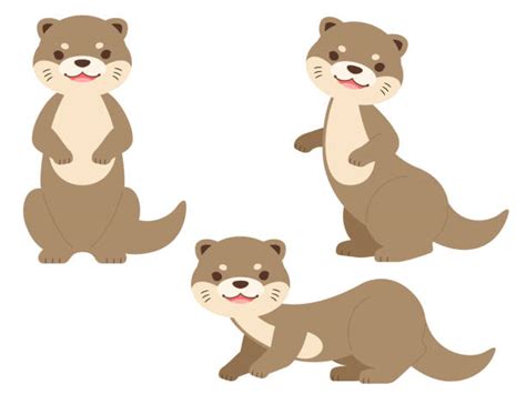 Otter Illustrations Royalty Free Vector Graphics And Clip Art Istock