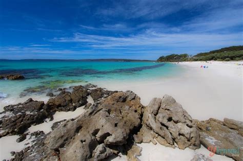 We did not find results for: 11 Best Beaches in South Coast NSW