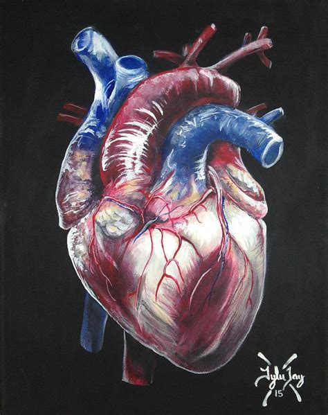 Anatomical Heart Painting By Tyler Haddox Pixels