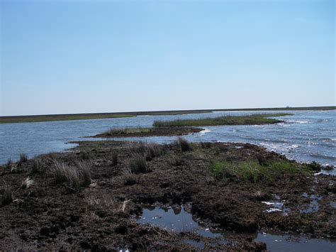 Coastal Protection And Restoration Authority Biloxi Marsh