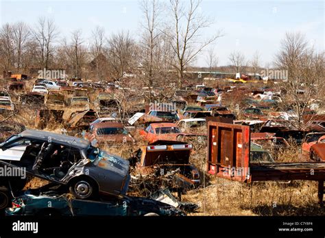 Old Junkyard Filled With Classic Cars And Overgrown Vegetation Stock