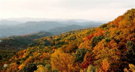 Peak Fall Foliage In Tennessee Looks To Be In Late October November Wztv