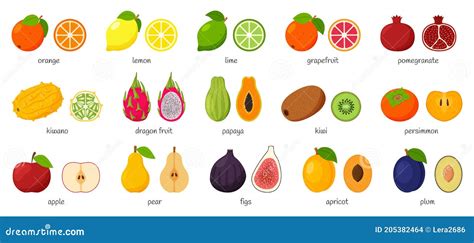 Large Collection Of Tropical Exotic Citrus Fruits With Names Set Of