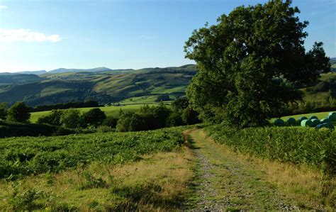 Find the perfect fern field stock photos and editorial news pictures from getty images. Path to Fern Field - Machynlleth | Machynlleth, Country ...