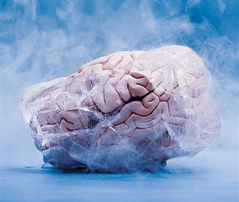 Why Do We Get A Brain Freeze — Steemit
