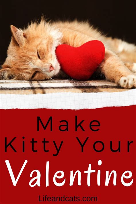 5 Ways To Have A Happy Valentines Day With Your Cat In 2020 Kitten