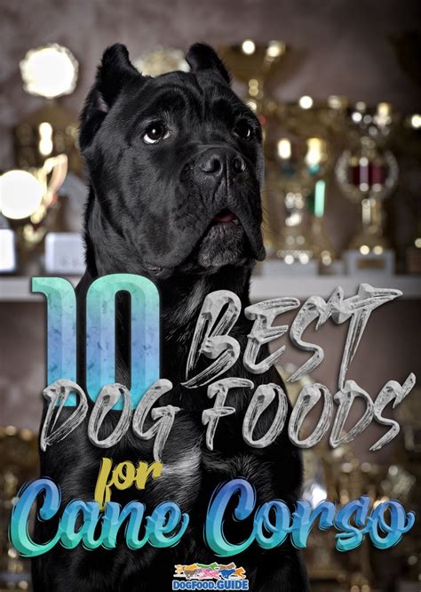 Best Dog Food For Cane Corso Puppy Earleen Lyster