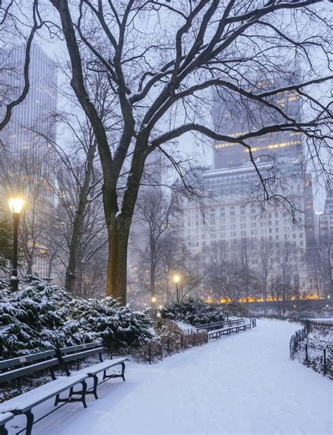Central Park Tempesta Della Neve Di New York Fotografia Stock