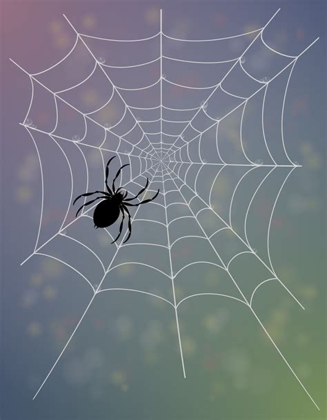 Spider Web Vector Illustration 510938 Vector Art At Vecteezy