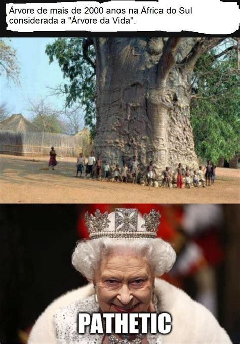 See more of rainha da inglaterra on facebook. A Rainha Elizabeth é mais velha até com essa "Árvore da ...