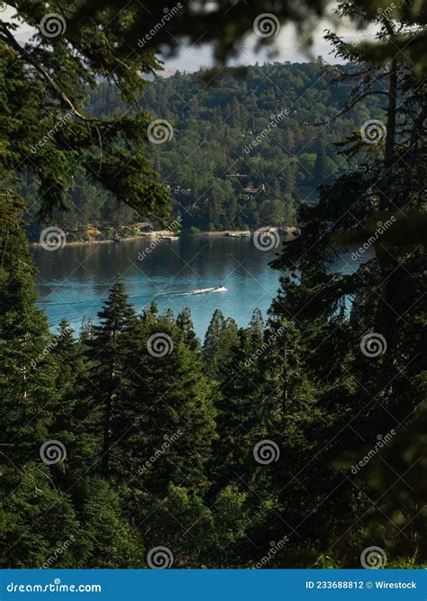 Natural View Of A Calm Lake And Green Forest In The Countryside Stock