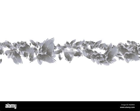 Composite Of A Beautiful White Doves In Flight Over White Background