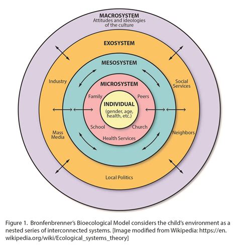 Bronfenbrenners Ecological Model Of Development Ecological Systems