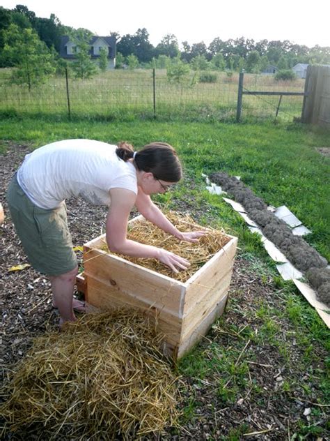 The idea behind most potatoes towers is that if you keep mounting dirt or straw or mulch on potato plant stems as they grow, more potatoes will grow from the stems. Potato Growing Box