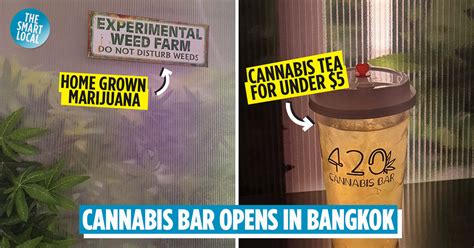 Bangkok Opens Its First Cannabis Bar And It Has Boba