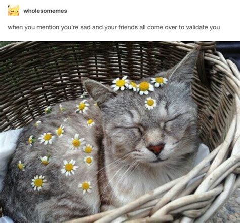 19 Memes Youll Get If Your Friendship With Your Bff Is Pure And