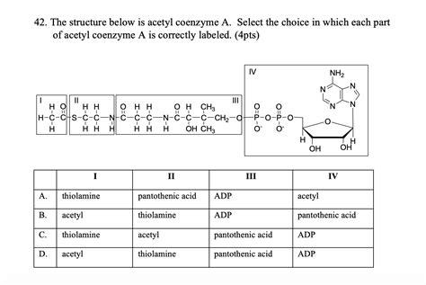 Solved 42 The Structure Below Is Acetyl Coenzyme A Select Chegg Com
