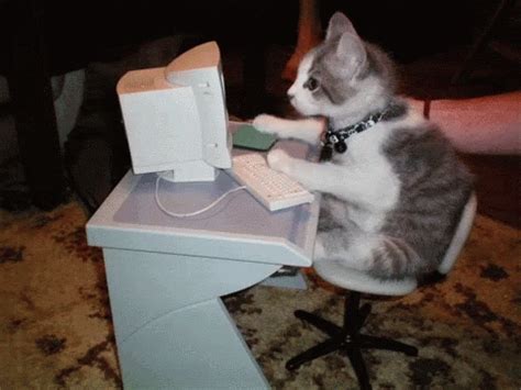 The cat works at the computer. Work Cat GIF - Work Cat Typing - Discover & Share GIFs