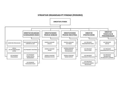 Struktur Organisasi Perusahaan Tambang Batubara Dan Tugasnya Seputar