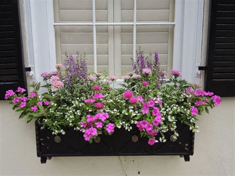 Window boxes in full sun can be tough numbers to crack. 21 Flowering Container Garden Plants for Sunny Spots ...