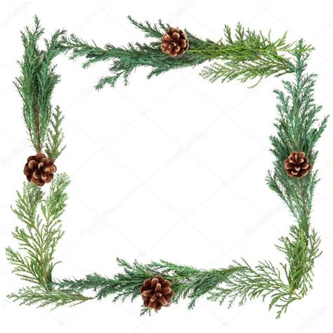 19 high quality christmas greenery border clipart in different resolutions. Winter Greenery Border — Stock Photo © marilyna #32152229