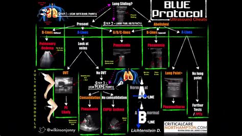 The Blue Protocol Decision Tree Performed On Dyspneic Grepmed