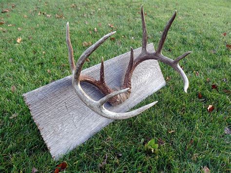 Today, mountain mike's reproductions proudly offers a variety of diy european mount kits and country home decor so you can create beautiful, affordable trophies and decorate your home or cabin. how to The Antler Mount....my hubby would like this all over my home!!! | For the Home/Car ...