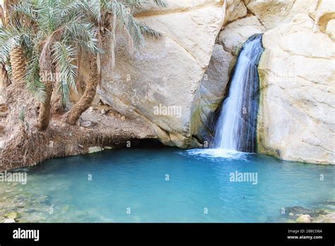 View Mountain Oasis Chebika Waterfall Hi Res Stock Photography And