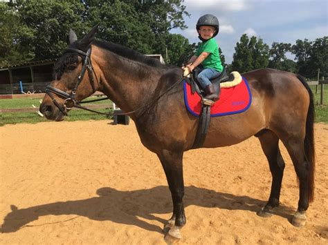 Reader Photo Challenge A New Generation Of Equestrians Horse Nation